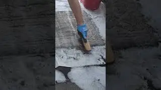 Hand Washing Stinky Dirty Oriental Rug #rugwashing #rugcleaning #satisfying