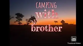 My Brother And I go Camping | My Dogs 1st Camping Trip