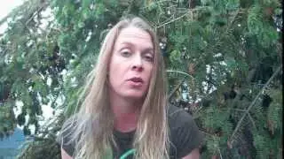 Synopsis of survival encounter with a pack of 20 wolves in Ontario w/ Kellie Nightlinger