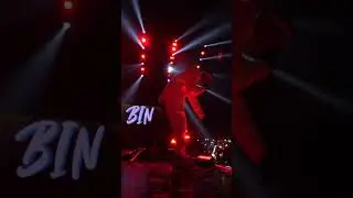 BIN NewGang Festival 4