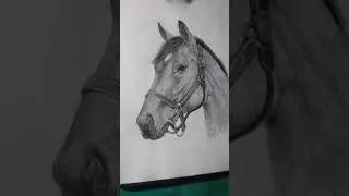 drawingshorthorse  #horsedrawings #horsesketchs #horseartwork #horseshortart #drawhorses #ytshorts