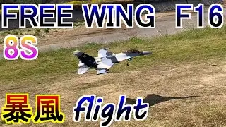 FREE WING F16 8S 暴風 フライト RC ラジコン 戦闘機 70ｍｍ EDF