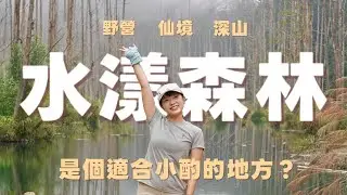 水漾森林| 921地震後形成的堰塞湖，突破芒草、咬人貓後抵達，完全是人間仙境，超級適合小酌的地方！🍺＃水漾森林＃野營 #堰塞湖
