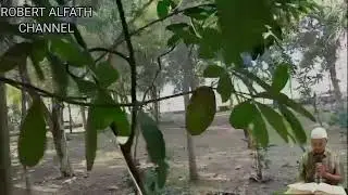 УШБУ СУРАНИ ХАР КУНИ УҚИНГ ЁКИ ЭШИТИНГ Кучли дуо, суралар