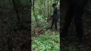 Jack Charles e Fa&iacute;sca aventura. O c&atilde;o de ouro♡♡♡