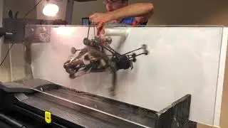 IHMC Fast Runner Robot