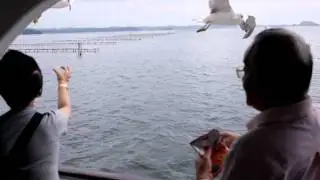 Japaner matar m&aring;sar med ostb&aring;gar