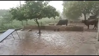 Heavy Sean In Jhang Sadar befor Heavy Rain||Heavy Rain Jhang|Punjan Weather Information||