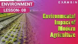 Environmental impact of modern agriculture