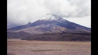 Tororoi leonado en el Quilotoa, Ecuador | Grallaria quitensis