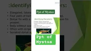 Power point presentation of Mystus🌊#adventure #music  #Scientific classification #Special character