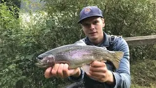 Fette Forellen nach 5 Minuten!!!