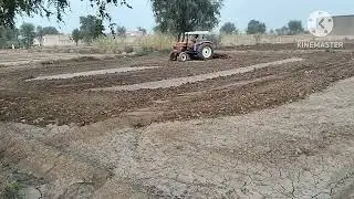 A tractor is cultivating rapeseed in the village field 