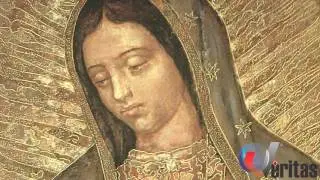 &ldquo;SUS OJOS TIENEN UN MENSAJE PARA TI&rdquo;  - JOS&Eacute; ASTE T&Ouml;NSMANN
