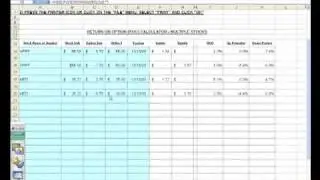 Calculating Option Returns Using the Ellman Calculator