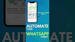Turn WhatsApp Chaos into Control with Automation
