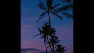 [FREE] Afro House Type Beat - 