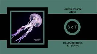 Leunam Innorac - Acuta (Original Mix) [Melodic House & Techno] [Three Hands Records]