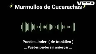 Murmullos de Cucarachas - Puedes Joder (version de trankileo)