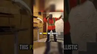 Parrot Goes Ballistic After Man Destroys The Cage it Was Abused In