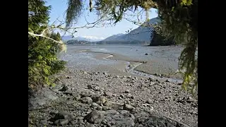 Magical Mudflats | Raincoast Field School @ home