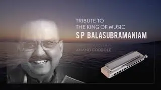 A Harmonica Tribute to S.P.Balasubrahmanyam