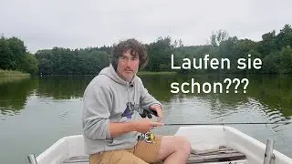 Gezielt auf BARSCH - finden wir den Schwarm?