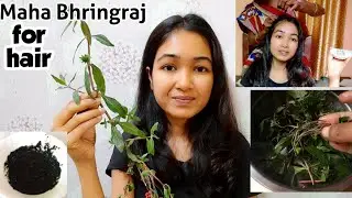 Bhringraj Hair Mask For Super Hair Growth/Control Hair Fall,Hair Graying,Dundruff/Maha Bhringraj Tel