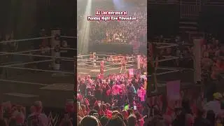 AJ Lee entrance at Monday Night Raw in Milwaukee. #WWE #Raw #Milwaukee