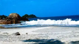 🌴 TROPICAL OCEAN WAVES AMBIENCE &ndash; RELAX, STUDY, AND UNWIND