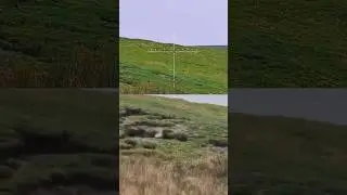 Arken Zulus LRF 200Yard Shot With .22LR Subsonics