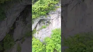 Traditional Chinese Medicine collects herbs on cliffs #travel #discoverchina #mountains