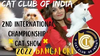 സൗത്ത് ഇന്ത്യയിലെ ഏറ്റവും വലിയ CAT SHOW |Cat Club Of India | International Cat Show |Bangalore |