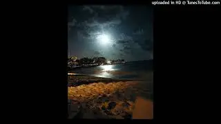 [FREE] Summrs + 30nickk + Pluggnb type beat 