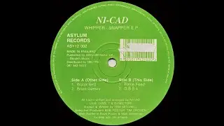 Ni-cad - D.B.S-4 (Acid Techno 1993)