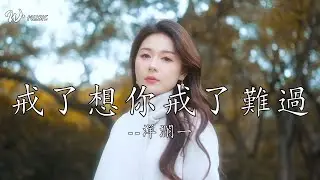 戒了想你戒了難過-洋瀾一『戒了所有對你的執着，就算沒有你也能好好生活』