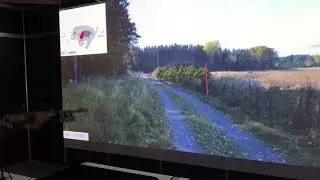 Wild boar shooting 🐗
