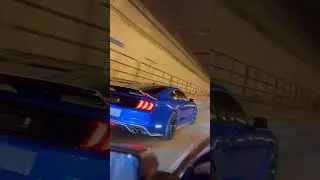 2021 Mustang GT with roush cat back exhaust in tunnel