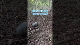 Deer hunting gone wrong ￼ #deerhunter #hunting #whitetailbucks #deerhunting #wildlife #huntinggame