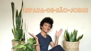 Tour pelas Espadas-de-São-Jorge e de Santa Bárbara! Dicas de cultivo da Dracena!