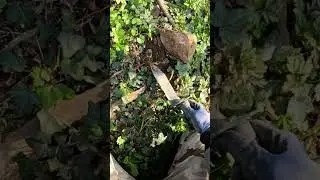 I Found a Treasure with the metal detector hidden under the rock #metaldetecting #treasure #shorts