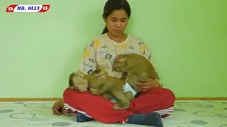 KAKO LUNA With OLLY Sleeping Well On Mommy Laps