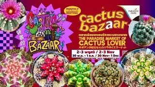 Tour Cactus Fair :🌵✨ Cactus Bazaar @Paradise Park, Thailand | 02 Nov 2024 | JdaySpring