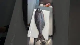 What fish has the flakiest scales?