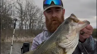 Catching BIG Bass SHALLOW #spawn 👀  I AM BACK #trashfishing #bassfishing