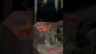 Roasted corn at Mandvi beach , Kutch #food #corn #roasted #shortvideo #shorts #ytshorts #tasty #song
