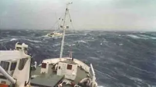Surviving the Storm Massive Waves Rescue