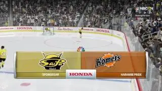 NHL 17 Competitive Seasons in a Nutshell
