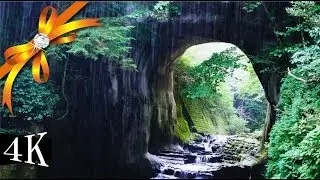 ♬ Rain sounds for sleeping ♬ sleep and healing video 