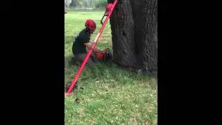 The stalpen tree jack